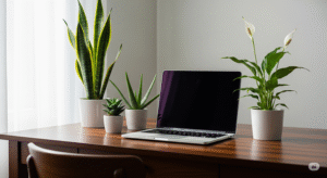 Beautiful Desk plants that reduces eye strain